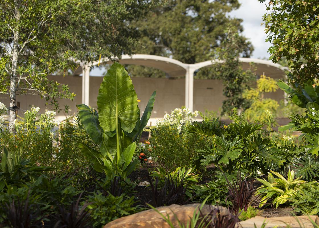 Looking through the Global Collection Garden to The Alcoves beyond. Photo by Michael Tims courtesy Houston Botanic Garden.