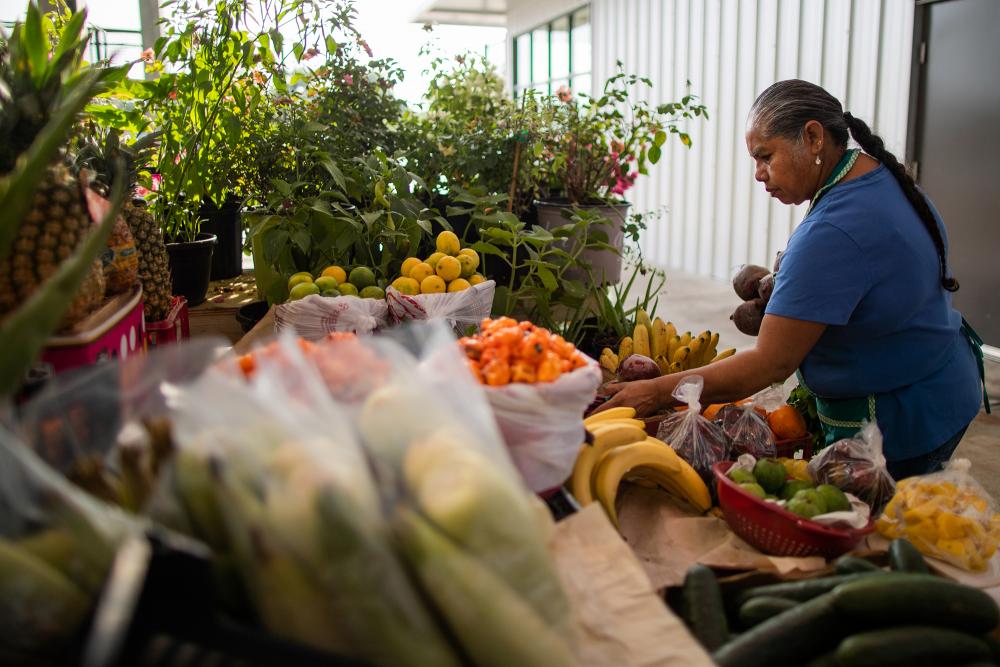 Barrera tends to her stall at the Houston Farmers Market. Photo by Marie D. De Jesús. 