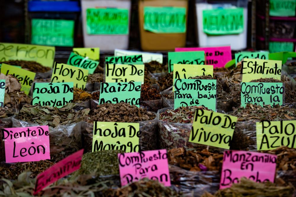 Houston Farmers Market. Photo by Marie D. De Jesús. 
