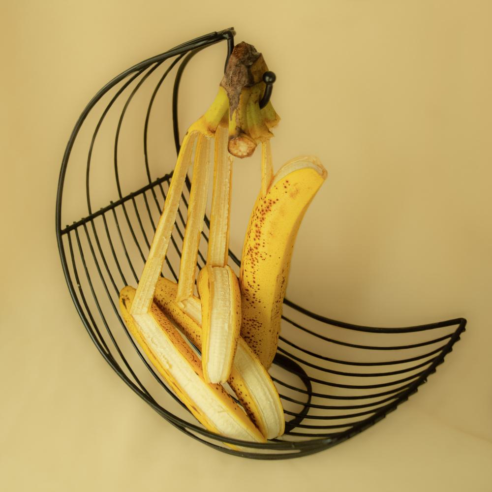 Briana Vargas, "Still Life of Tired Bananas." Courtesy Houston Center for Photography.