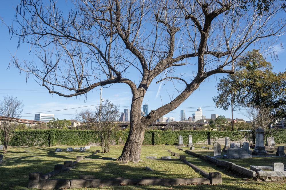 Magnolia Cemetery. Photo by Paul Hester on December 17, 2019.