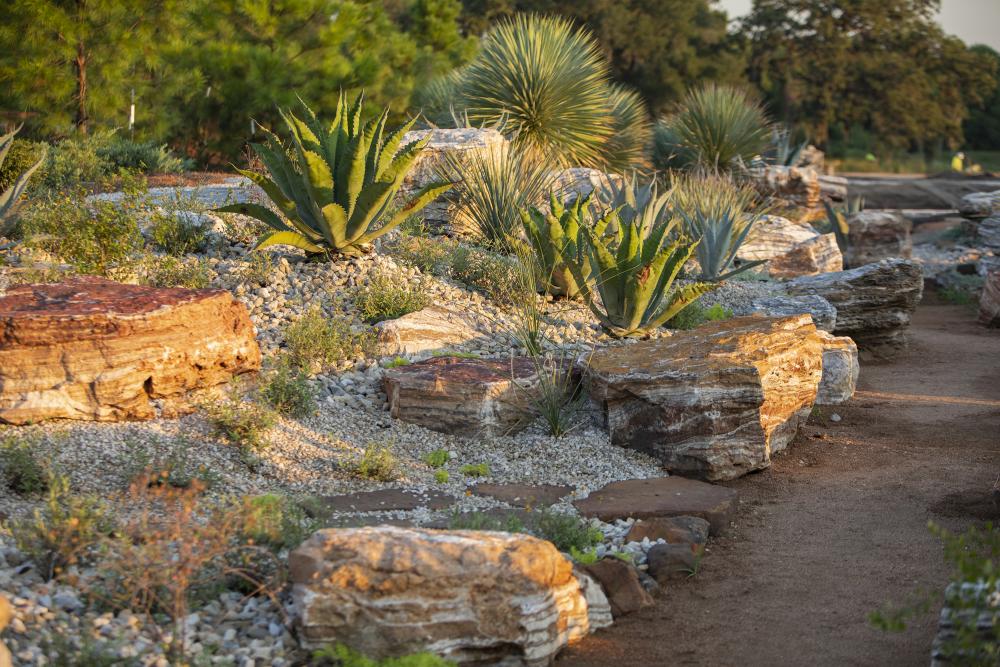 The Arid Valley in the Global Collection Garden. Photo by Michael Tims courtesy Houston Botanic Garden.